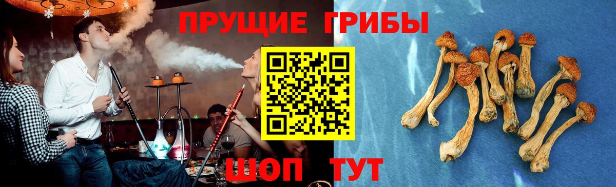 Псилоцибиновые грибы мухоморы Челябинск