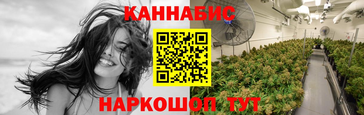 Марихуана сатива Челябинск